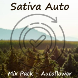 Sativa Auto mix Pack