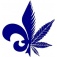 Q.C.S. Quebec Cannabis Seeds 