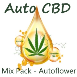 Auto CBD Mix Pack Feminized Cannabis Seeds