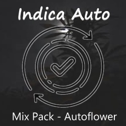 Indica Auto Mix Pack