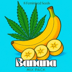 Banana Mix Pack Cannabis Seeds Feminized
