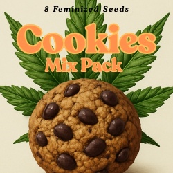 Cookies Mix Pack Cannabis Seeds Feminized