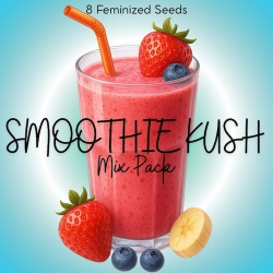 Smoothie Kush Mix Pack