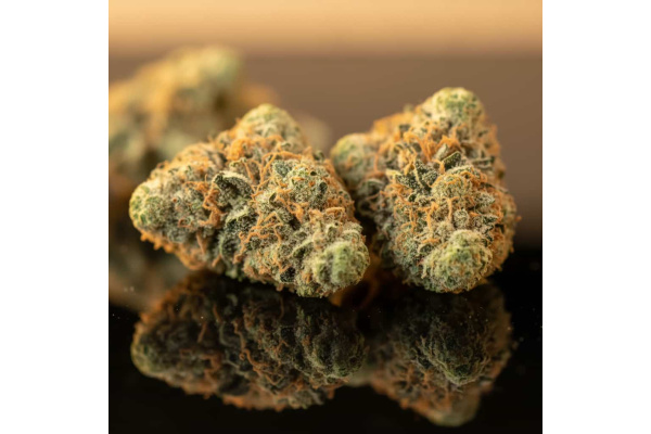 Pure Power Plant (PPP) – Old-School Power with Modern Energy