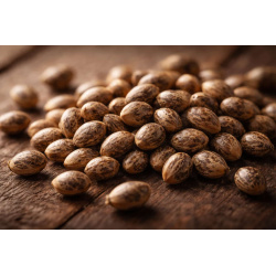 Essential Tips for Germinating Weed Seeds