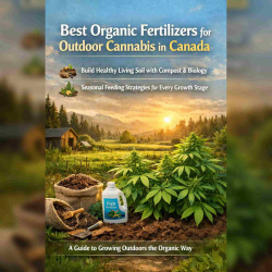 Best Organic Fertilizers for Outdoor Cannabis in Canada | QCS