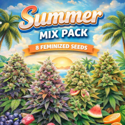 SUMMER MIX PACK Feminized Cannabis Seeds