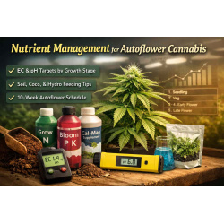 Autoflower Nutrient Management: NPK, EC & Media Guide
