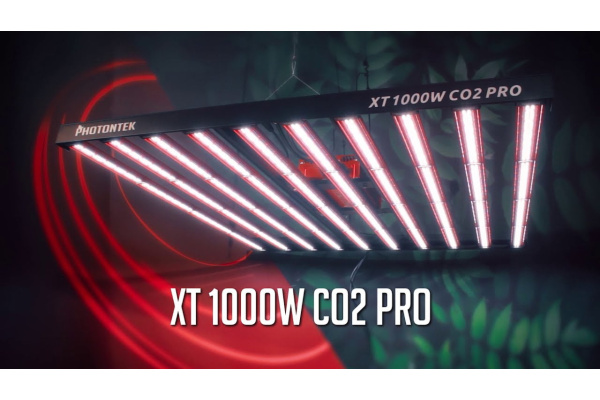 Why PHOTONTEK LED Grow Lights Are Among the Best in the Industry