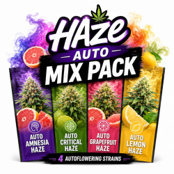 Haze Auto Mix Pack Feminized Cannabis Seeds