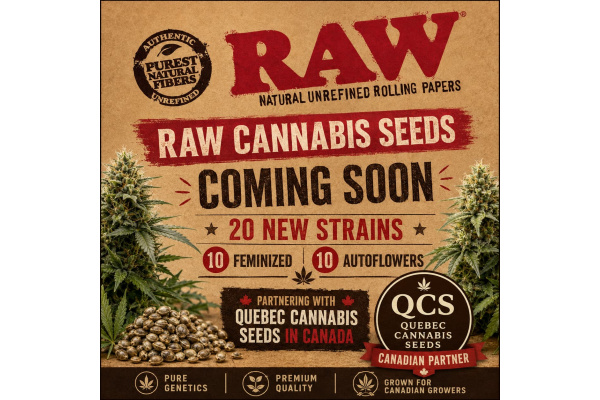 RAW Cannabis Seeds Canada: 20 New Strains with Quebec Cannabis Seeds