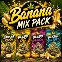 Banana Mix Pack Cannabis Seeds Feminized