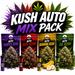 Kush Auto Mix Pack Feminized Cannabis Seeds