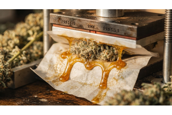 Best Weed Strains for Rosin | 10 Resin-Rich Picks from QCS