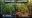 Overwatering and Underwatering Cannabis Plants