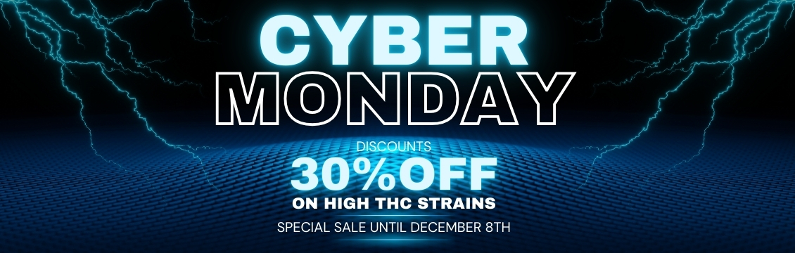 Cyber MOnday Deals