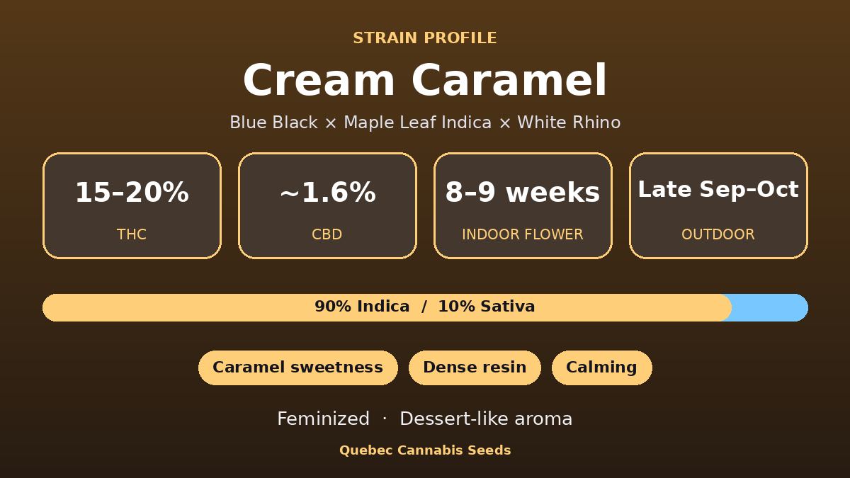 Cream Caramel strain profile: 15 to 20% THC, 8 to 9 weeks indoor flowering, 90% indica
