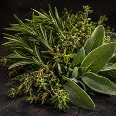 Herbal
